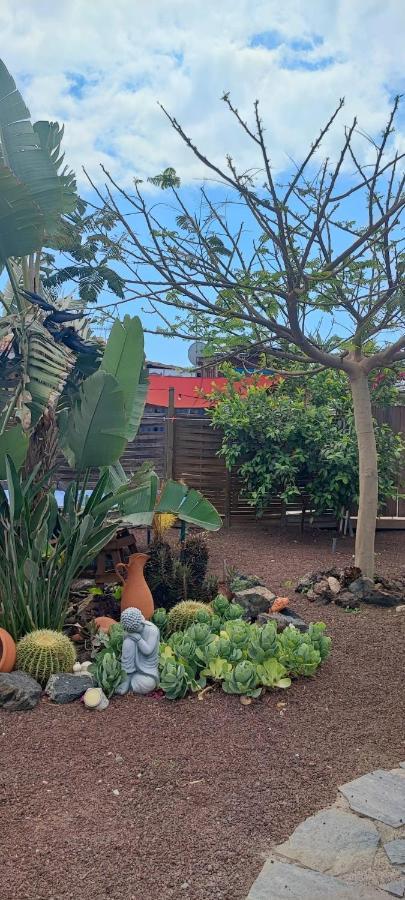 Beautiful Vintage Bungalow Wifi Parking. Las Galletas Extérieur photo