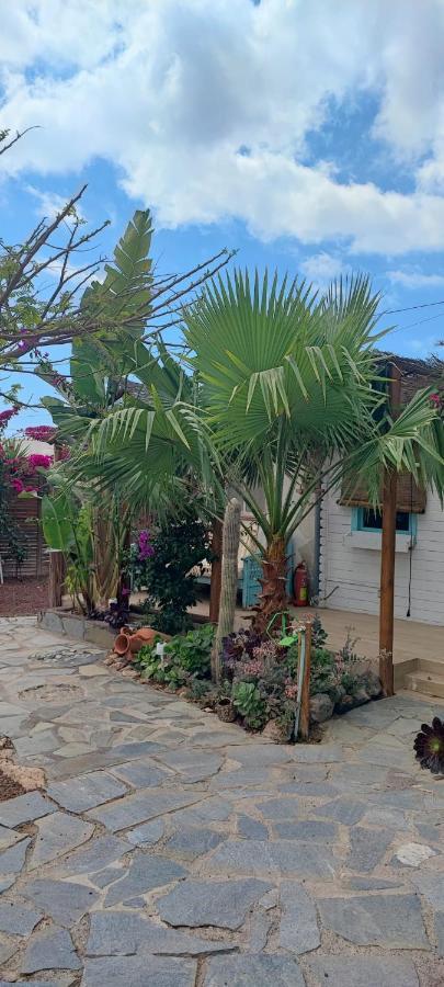 Beautiful Vintage Bungalow Wifi Parking. Las Galletas Extérieur photo